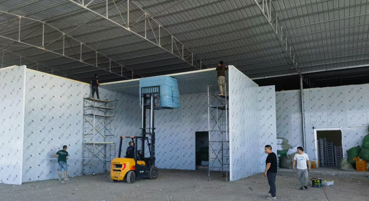 5600m³ fresh-keeping cold storage, equipped with a Hanbell 240P unit, provides powerful refrigeration capacity.